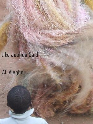cover image of Like Joshua Said